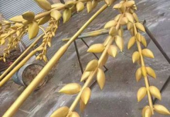水景水稻雕塑厂家 风景区几何雕塑 广场小品