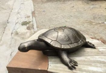 城市海龟雕塑厂家 风景区彩绘雕塑 抽象摆件